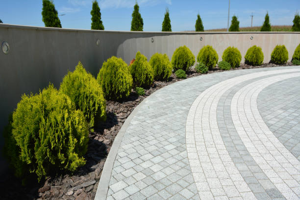 Best Driveway Pavers Near Me  in Rolling Fork, MS